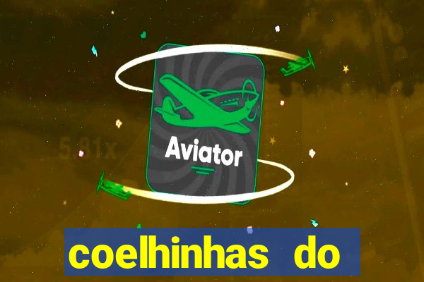 coelhinhas do brasil jp